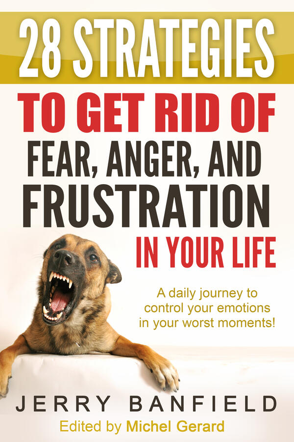 28 Strategies to Get Rid of Fear, Anger, and Frustration in Your Life: A daily journey to control your emotions in your worst moments!